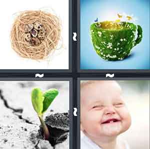 Level 893 - 4 Pics 1 Word Answers