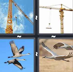 4 Pics 1 Word Level 33