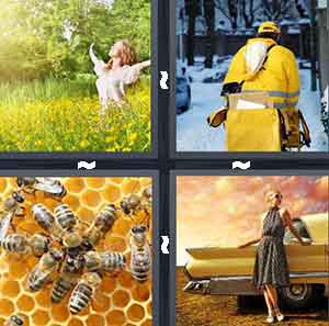 4 Pics 1 Word Level 44