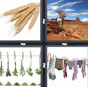 4 Pics 1 Word Level 61
