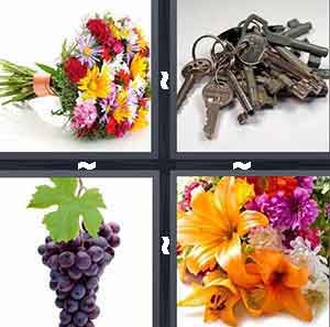 4 Pics 1 Word Level 102
