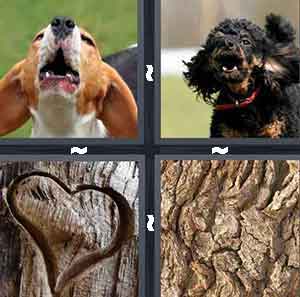4 Pics 1 Word Level 107