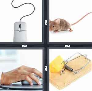 4 Pics 1 Word Level 125