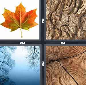 4 Pics 1 Word Level 126