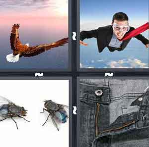 4 Pics 1 Word Level 129