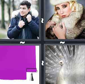 4 Pics 1 Word Level 137