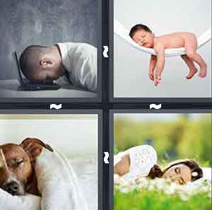4 Pics 1 Word Level 183