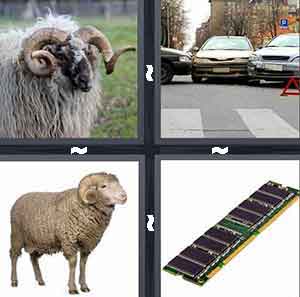 4 Pics 1 Word Level 197