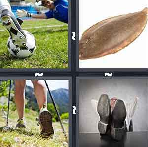 4 Pics 1 Word Level 229