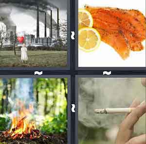 4 Pics 1 Word Level 262