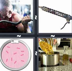 4 Pics 1 Word Level 291