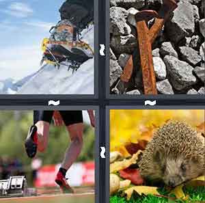 4 Pics 1 Word Level 307