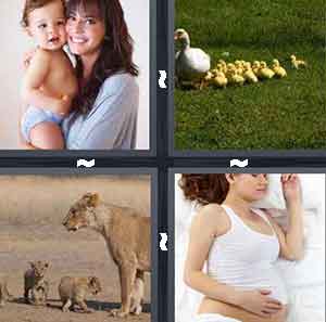 4 Pics 1 Word Level 325