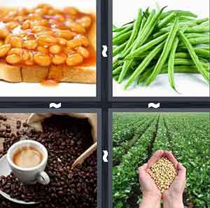 4 Pics 1 Word Level 327