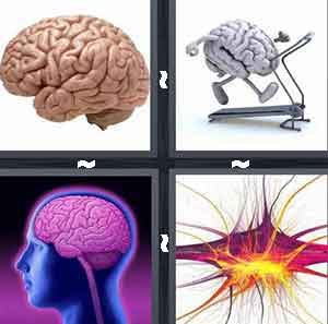 4 Pics 1 Word Level 337