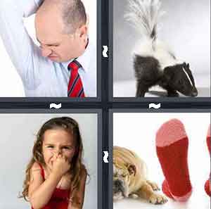 4 Pics 1 Word Level 346