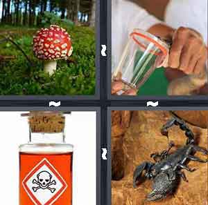 4 Pics 1 Word Level 371