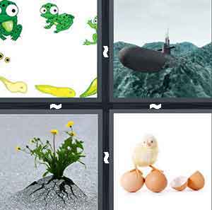 4 Pics 1 Word Level 460