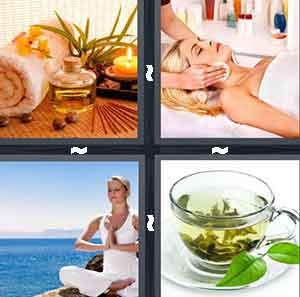 4 Pics 1 Word Level 491