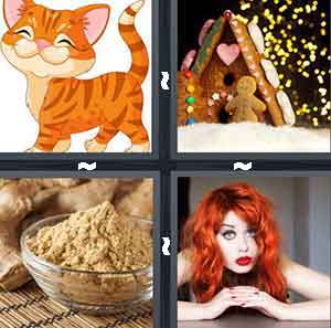 4 Pics 1 Word Level 495