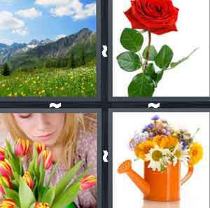 4 Pics 1 Word Level 562