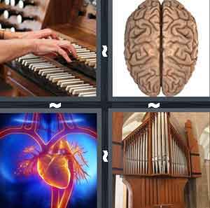 4 Pics 1 Word Level 593