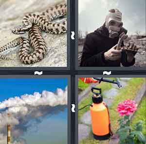 4 Pics 1 Word Level 627