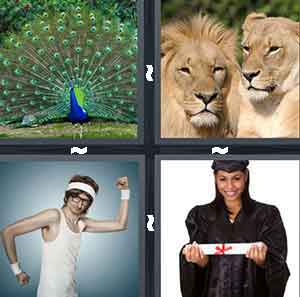 4 Pics 1 Word Level 634