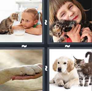 4 Pics 1 Word Level 671