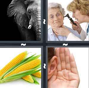 4 Pics 1 Word Level 673
