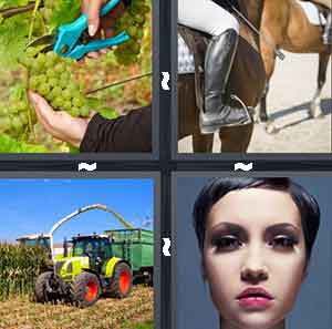 4 Pics 1 Word Level 679
