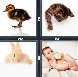 4 Pics 1 Word Level 692