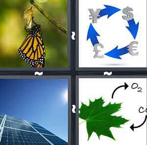 4 Pics 1 Word Level 739