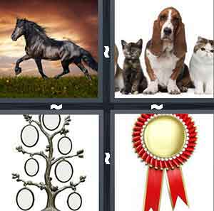 4 Pics 1 Word Level 764