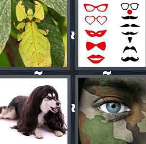 4 Pics 1 Word Level 777