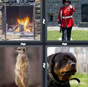 4 Pics 1 Word Level 809