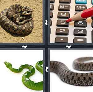 4 Pics 1 Word Level 862