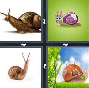 4 Pics 1 Word Level 926