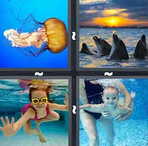 4 Pics 1 Word Level 945