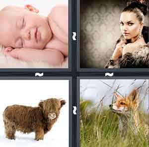4 Pics 1 Word Level 966