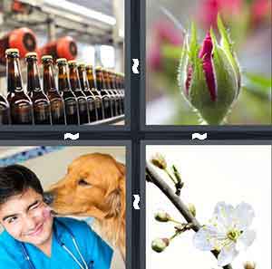 4 Pics 1 Word Level 971