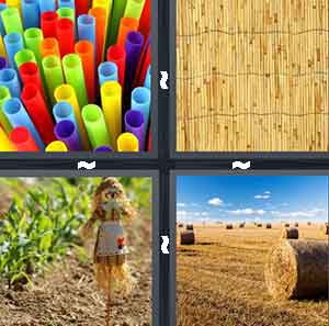 4 Pics 1 Word Level 974