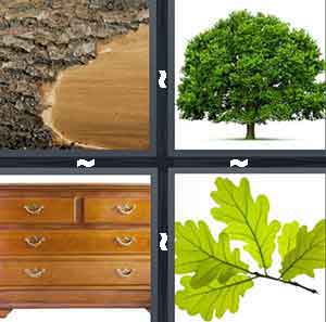 4 Pics 1 Word Level 989
