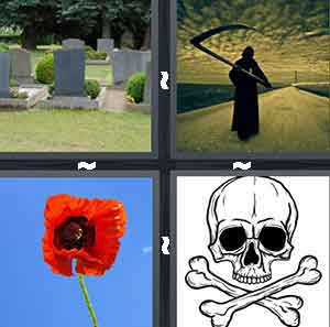 4 Pics 1 Word Level 999