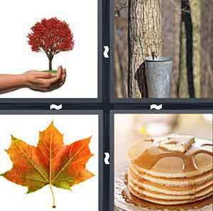 4 Pics 1 Word Level 1015