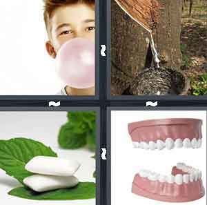 4 Pics 1 Word Level 1017