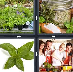 4 Pics 1 Word Level 1022