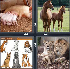 4 Pics 1 Word Level 1080