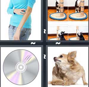 4 Pics 1 Word Level 1081
