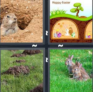 4 Pics 1 Word Level 1100